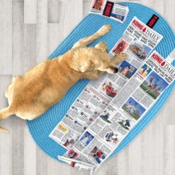KONG Daily Newspaper
