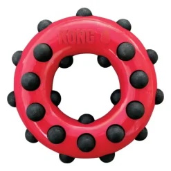 Kong Dental Stick
