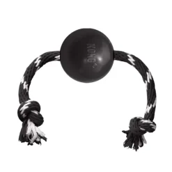 Kong Extreme