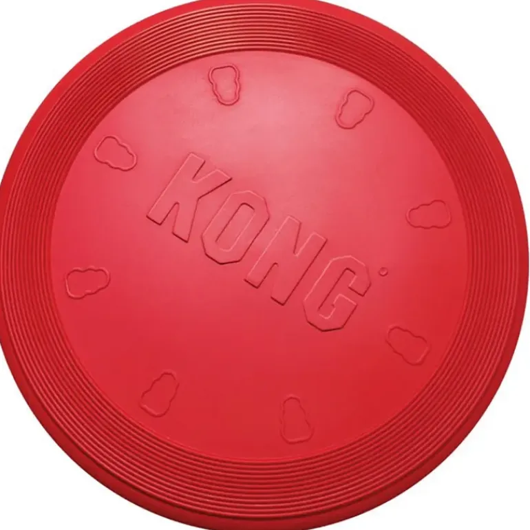 KONG Flyer