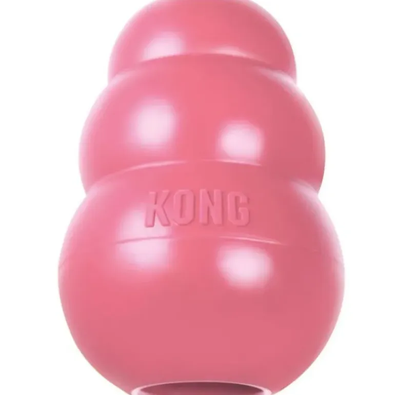 Kong Puppy