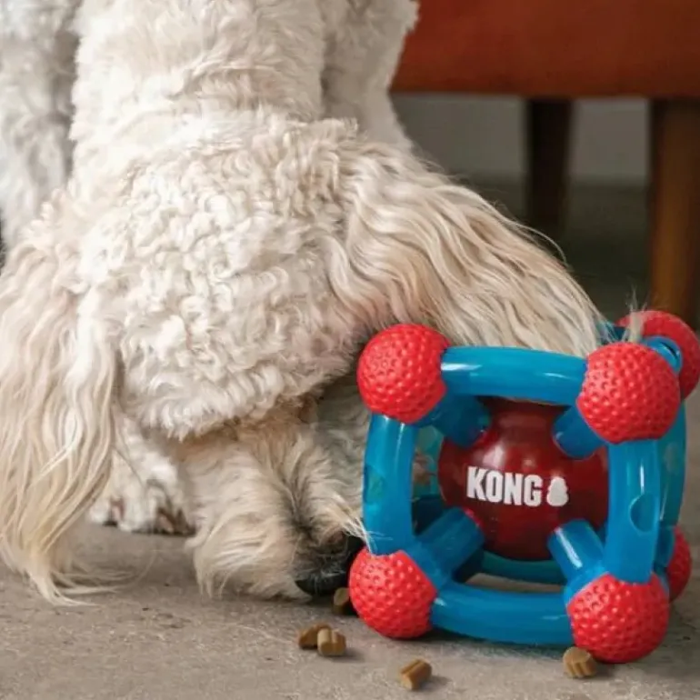 Kong Rewards Tinker
