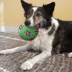KONG Sneakerz Sport Soccer Ball