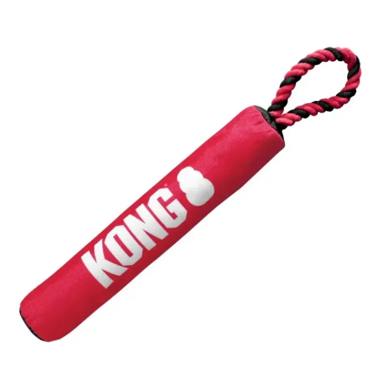 Kong Squeezz Orbitz Ball - Assorted