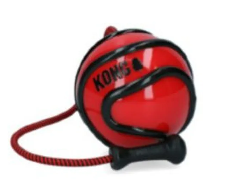 Kong Wavz Bunjiball