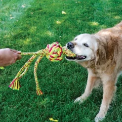 KONG Wubba Puppy