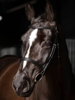 LeMieux Arika Cavesson Bridle