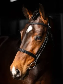 LeMieux Arika Cavesson Bridle