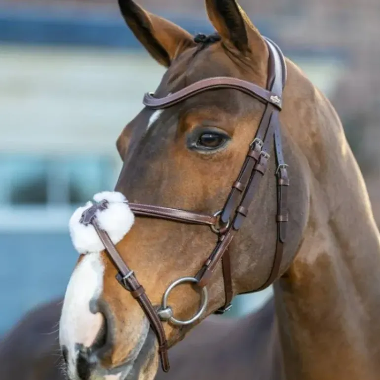 LeMieux Arika Grackle Bridle
