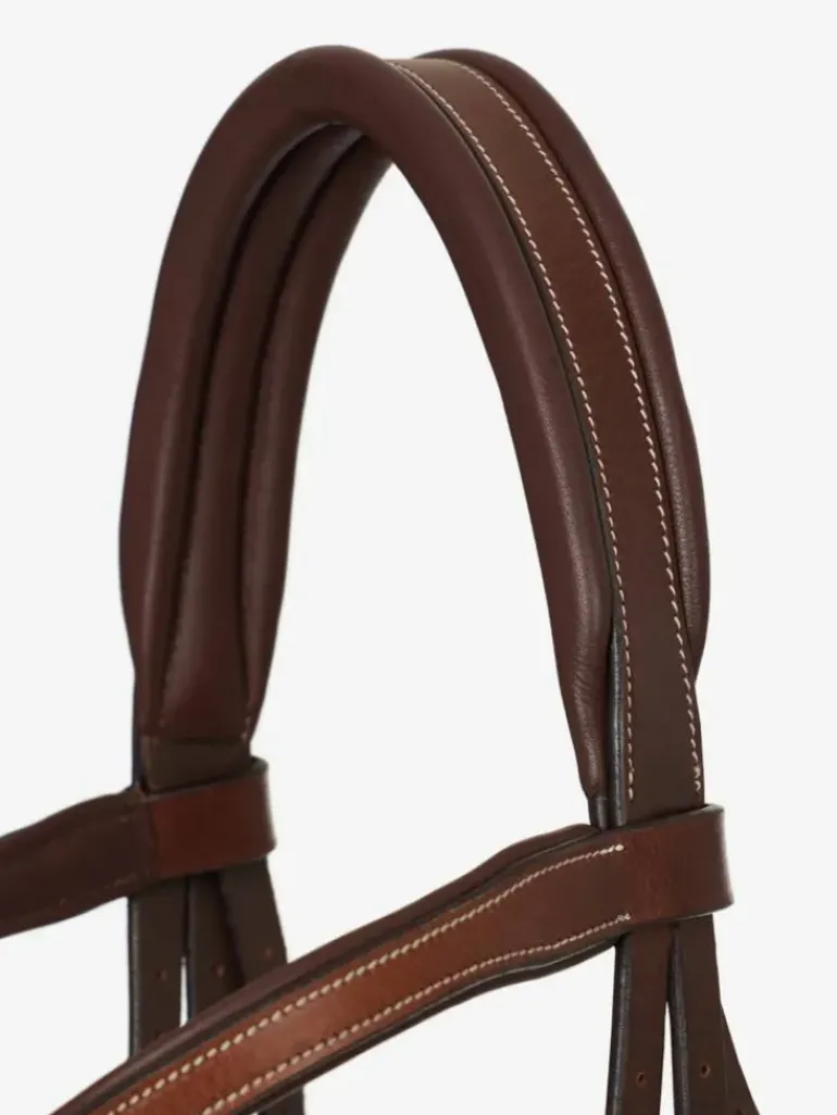 LeMieux Arika Grackle Bridle