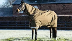 LeMieux Arika Ripstop 200g Turnout Rug