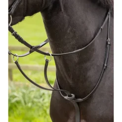 LeMieux Arika Running Martingale