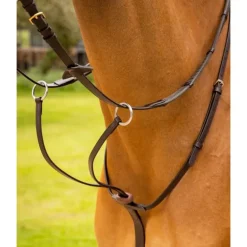 LeMieux Arika Running Martingale