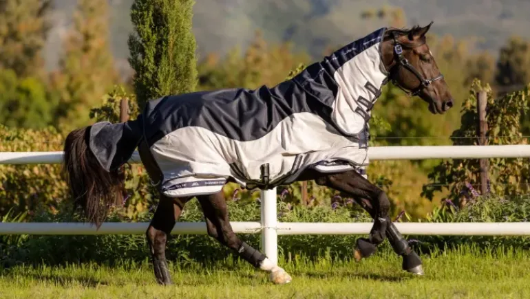 LeMieux Arika Shower-Tek Fly Rug