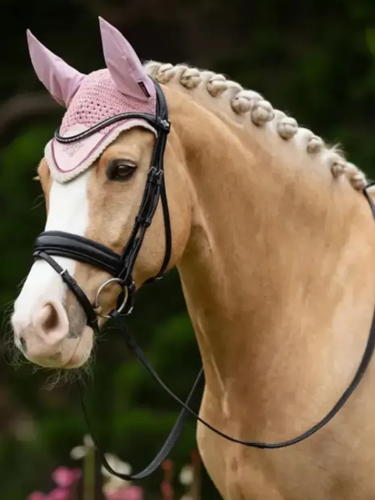 LeMieux Classic Fly Hood SS25