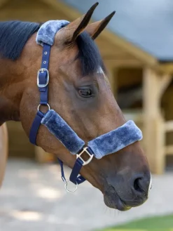 LeMieux Comfort Headcollar