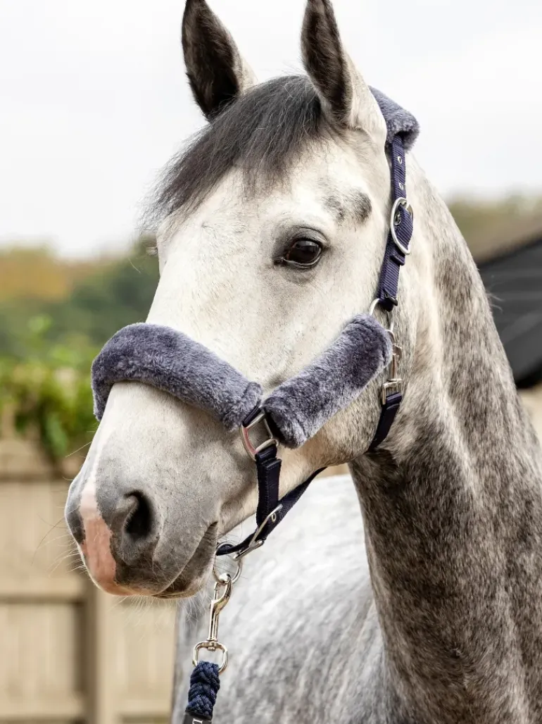 LeMieux Comfort Headcollar