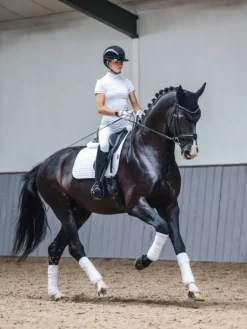 LeMieux Cotton Dressage Square