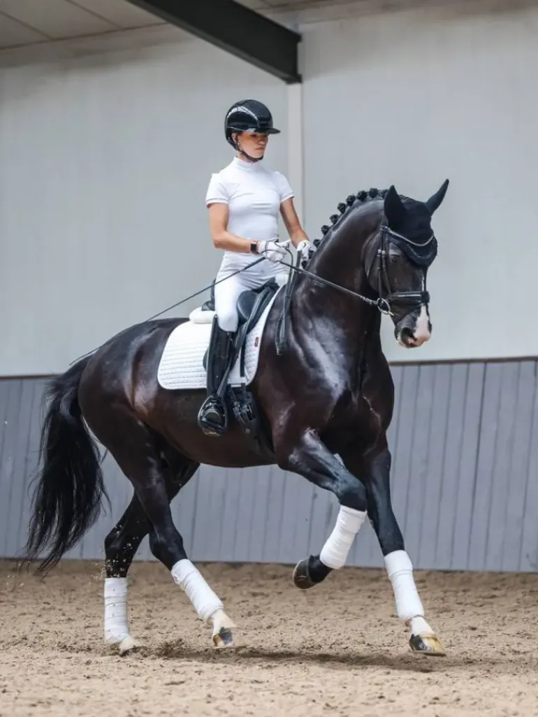 LeMieux Cotton Dressage Square