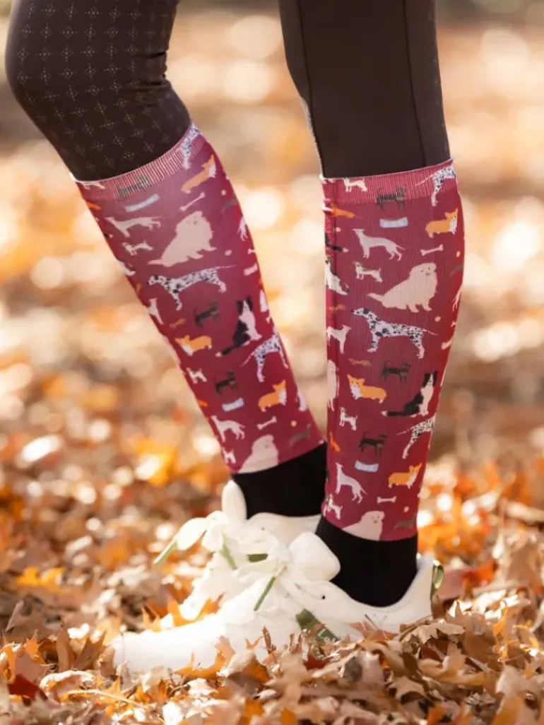 LeMieux Footsie Dog Socks