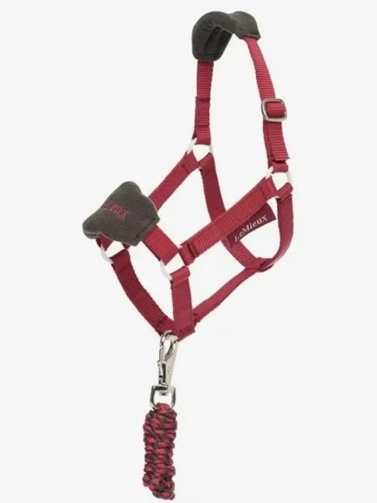 LeMieux Hobby Horse Vogue Headcollar & Leadrope AW24
