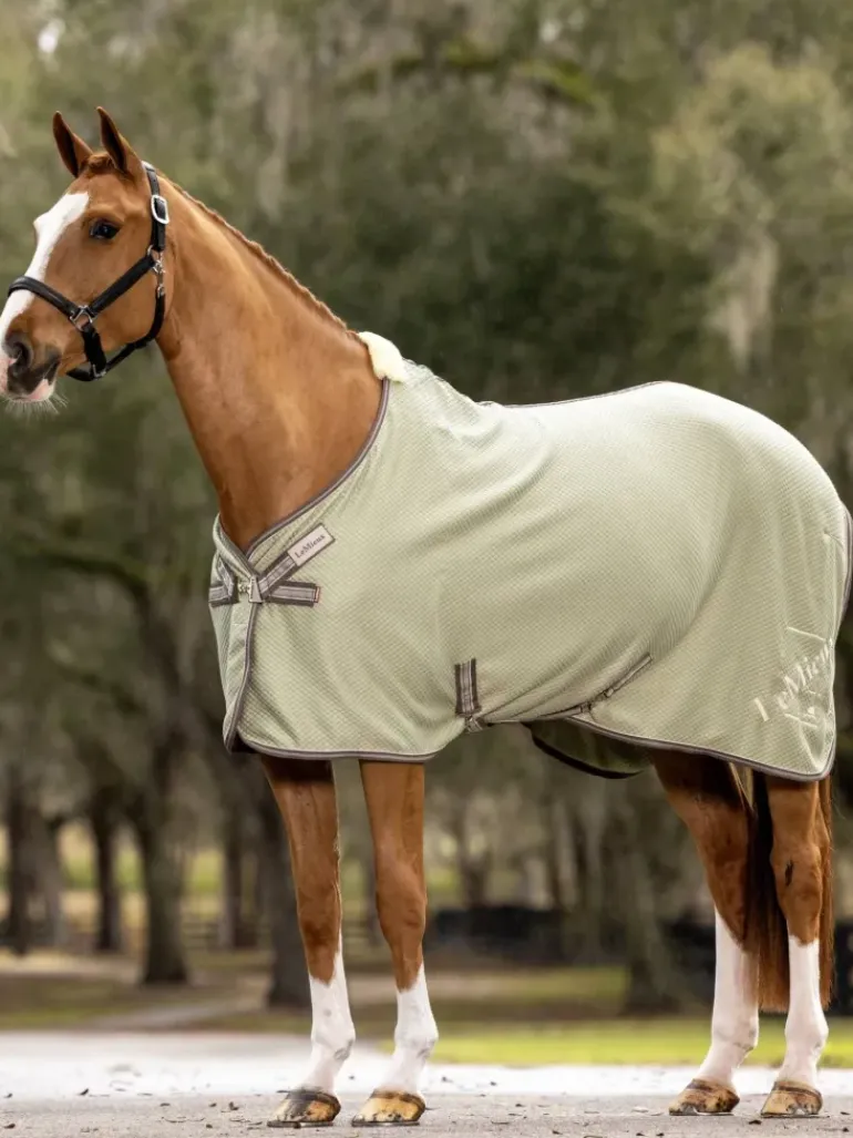 LeMieux Kudos Bamboo Cooler Rug SS24