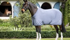 LeMieux Kudos Bamboo Cooler Rug SS24