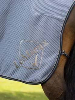 LeMieux Kudos Bamboo Cooler Rug SS24
