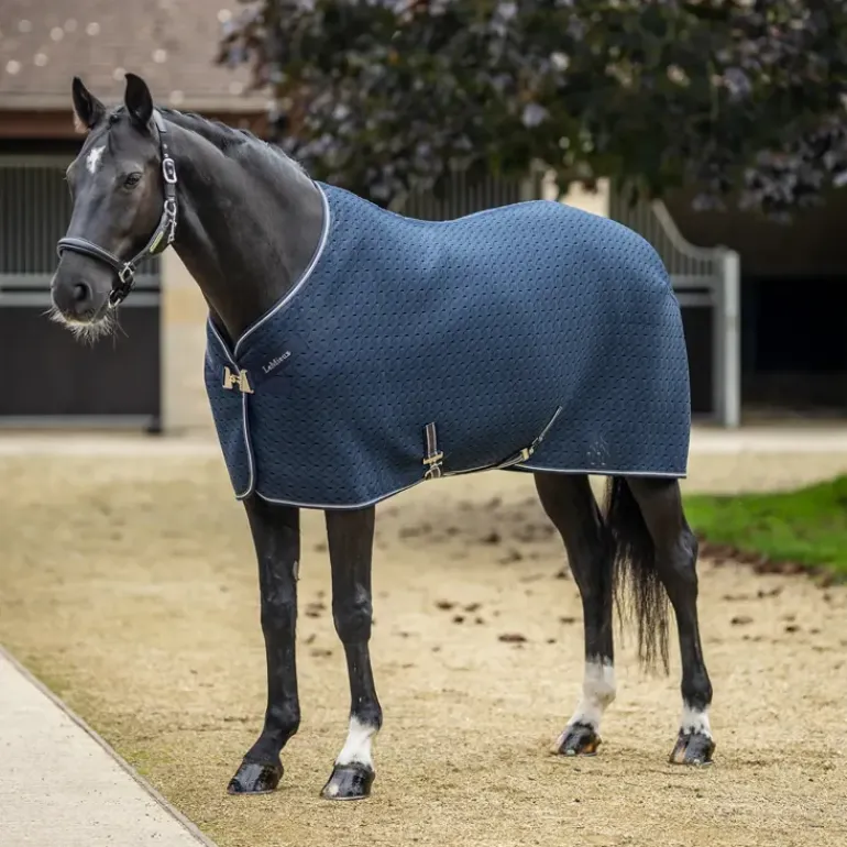 LeMieux Kudos 3D Mesh Travel Rug