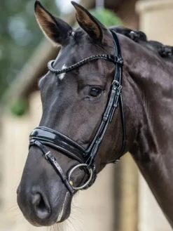 LeMieux Kudos Patent Dressage Bridle