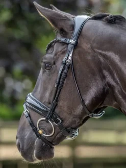 LeMieux Kudos Patent Dressage Bridle