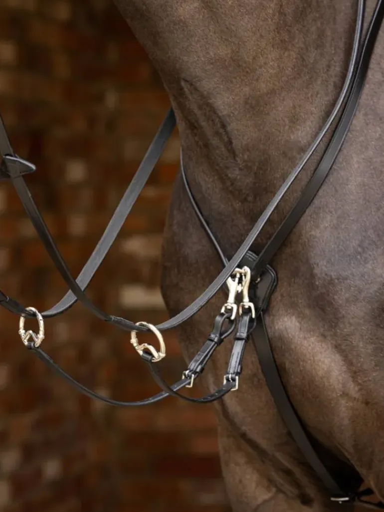 LeMieux Kudos Running Martingale