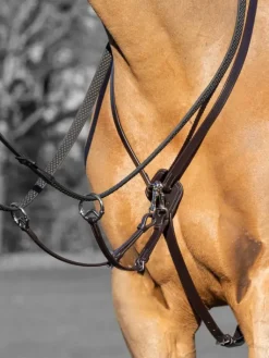 LeMieux Kudos Running Martingale