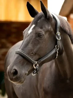 LeMieux Leather Crystal Headcollar