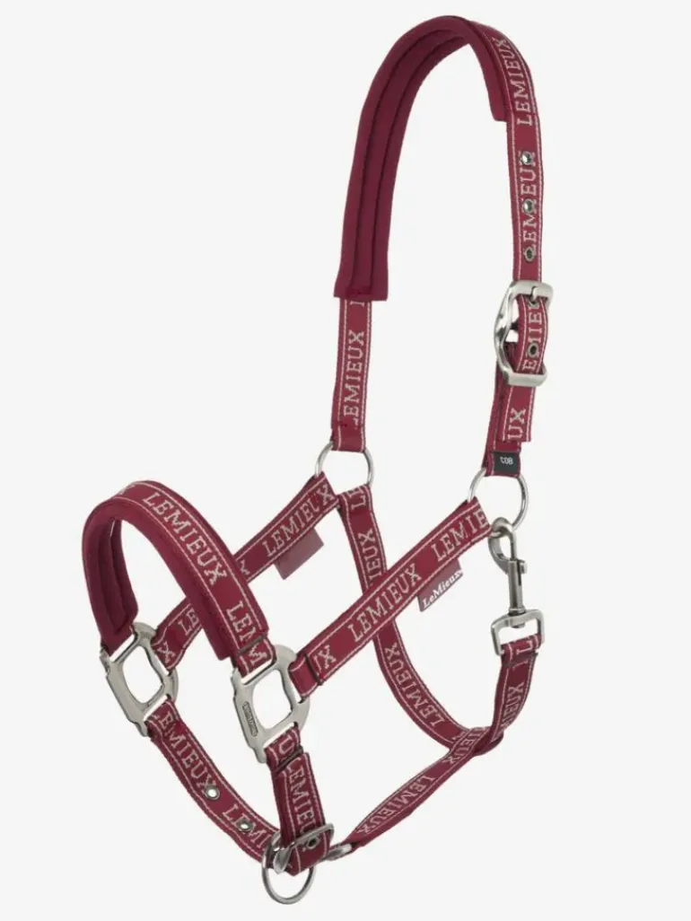 LeMieux Logo Headcollar AW24