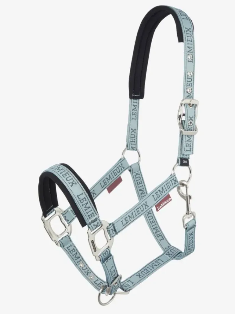 LeMieux Logo Headcollar AW24