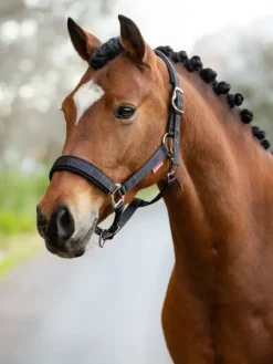 LeMieux Logo Headcollar AW24