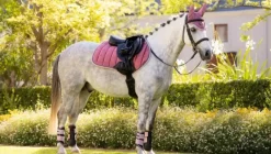 LeMieux Loire Classic Close Contact Square SS25