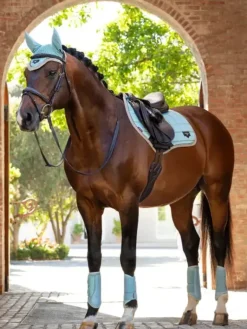 LeMieux Loire Classic Close Contact Square SS25