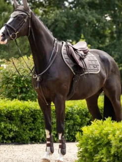 LeMieux Loire Classic Close Contact Square SS24