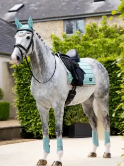 LeMieux Loire Classic Dressage Square SS25