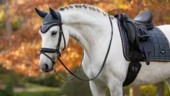 LeMieux Loire Classic Dressage Square AW24