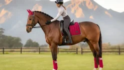 LeMieux Loire Classic Dressage Square AW24