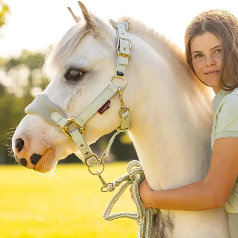 LeMieux Mini Vogue Headcollar SS24
