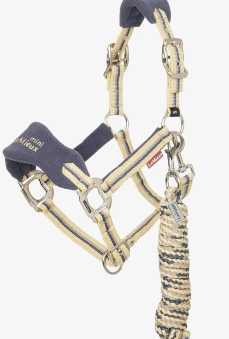 LeMieux Mini Vogue Headcollar & Leadrope SS25