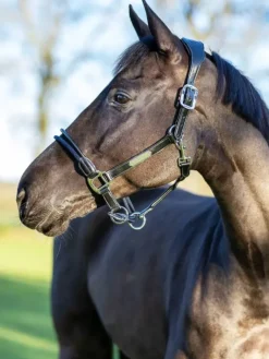 LeMieux Rope Control Headcollar