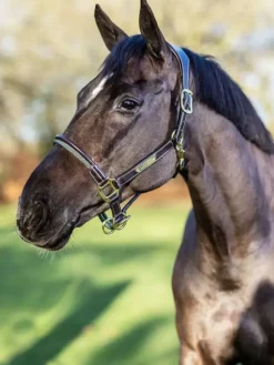 LeMieux Rope Control Headcollar
