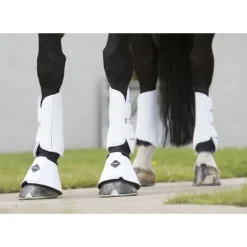 LeMieux Schooling Boots