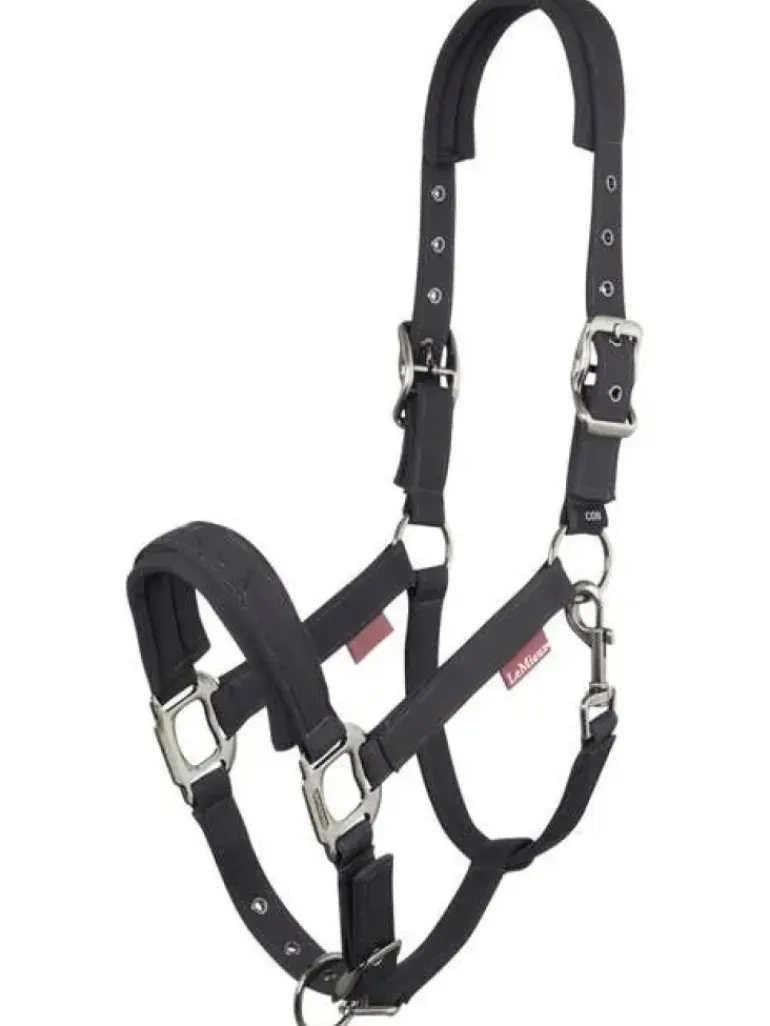 LeMieux Soft Shell Headcollar AW24