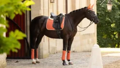 LeMieux Suede Dressage Square SS24